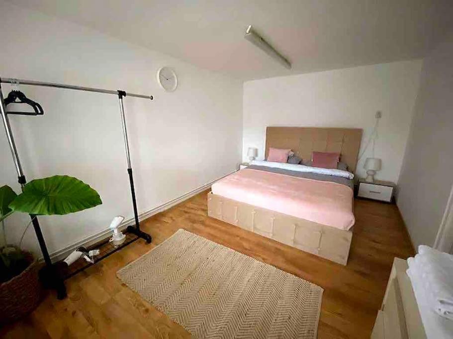 House Apartment In Temesvár Kültér fotó